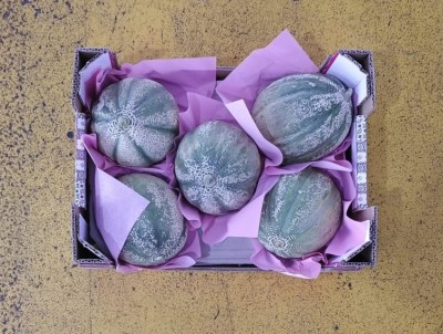 Foto Meloni Retati Calibro 5 Origine Italia Marchio Sicilia         3