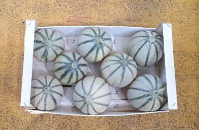 Foto Meloni Retati Calibro 8 Origine Italia Marchio Cutini             3
