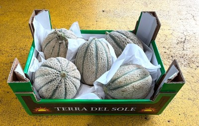 Foto Meloni Retati Calibro 5 Origine Italia Marchio Terra Del Sole  1