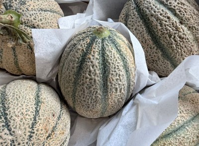 Foto Meloni Retati Calibro 5 Origine Italia Marchio Terra Del Sole  2