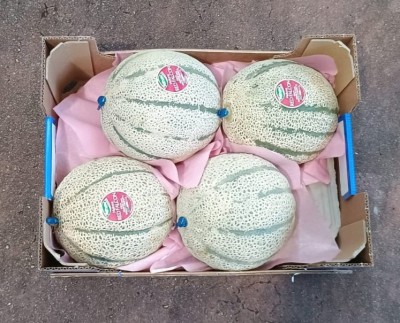 Foto Meloni Varietà Red Falcon Calibro 4 Origine Italia Marchio Valfrutta  3