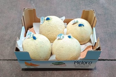 Foto Meloni Varietà Honey Sweet Serra Calibro 4 Origine Italia Marchio Valfrutta            1