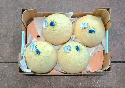 Foto Meloni Varietà Honey Sweet Serra Calibro 4 Origine Italia Marchio Valfrutta            3