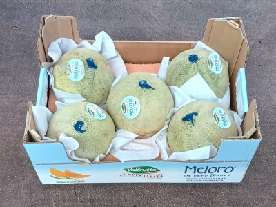 Foto Meloni Varietà Honey Calibro 5 Origine Italia Marchio Valfrutta 1
