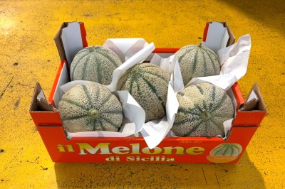 Foto Meloni Retati Varietà Rubino Calibro 4/5 Origine Italia Marchio Melone di Sicilia 1