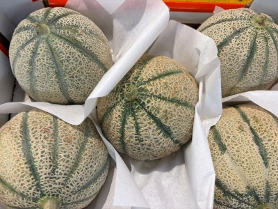 Foto Meloni Retati Varietà Rubino Calibro 4/5 Origine Italia Marchio Melone di Sicilia 2