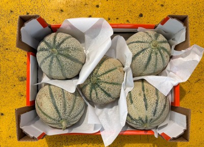 Foto Meloni Retati Varietà Rubino Calibro 4/5 Origine Italia Marchio Melone di Sicilia 3