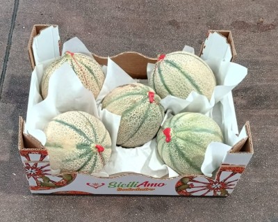 Foto Melone Retati Calibro 4/5 Origine Italia Marchio Siciliamo 1