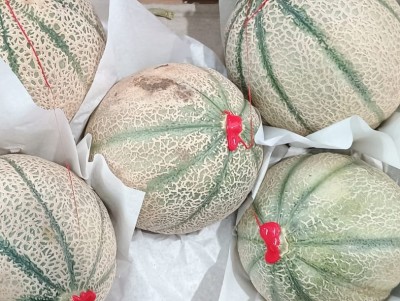Foto Melone Retati Calibro 4/5 Origine Italia Marchio Siciliamo 2