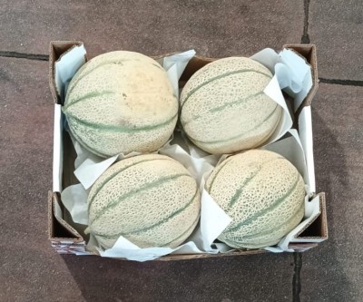 Foto Melone Rubino Calibro 4 Origine Italia Marchio Siciliamo  3