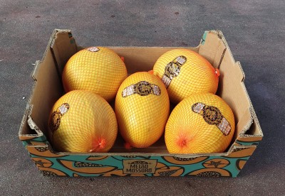 Foto Meloni Gialli Calibro 5 Origine Brasile Marchio Mossoro 1