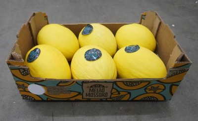 Foto Meloni Giallo Calibro  6 Origine Brasile Marchio  Mossoro       1