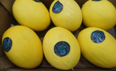 Foto Meloni Giallo Calibro  6 Origine Brasile Marchio  Mossoro       2