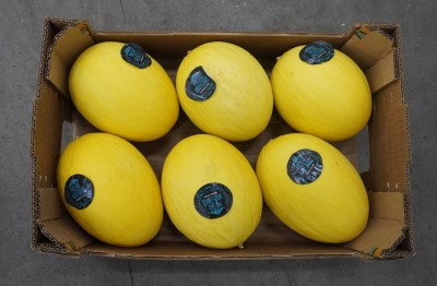 Foto Meloni Giallo Calibro  6 Origine Brasile Marchio  Mossoro       3