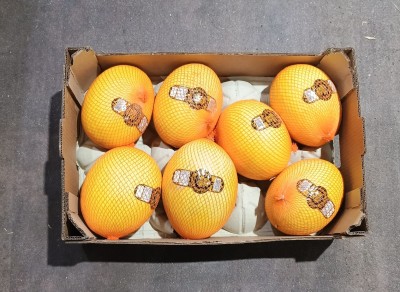 Foto Meloni Gialli Calibro 7 Origine Brasile Marchio Mossoro 3