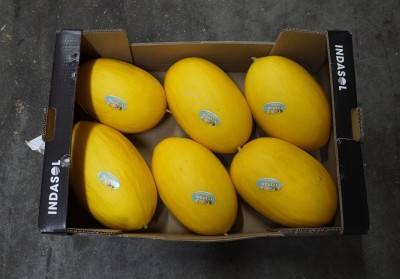 Foto Meloni Gialli Calibro 6 Origine Spagna Marchio Indasol 3