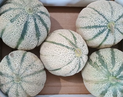 Foto Meloni Varietà Rubino Calibro 5 Origine Italia Marchio Kore  2