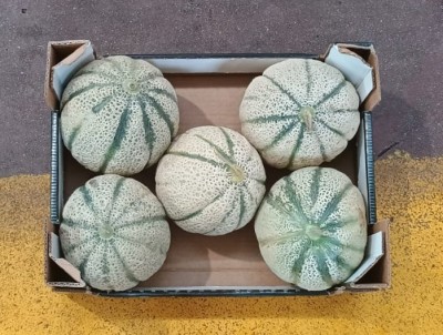 Foto Meloni Varietà Rubino Calibro 5 Origine Italia Marchio Kore  3