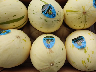 Foto Meloni Dino Calibro 6 Origine Brasile Marchio Dino 2