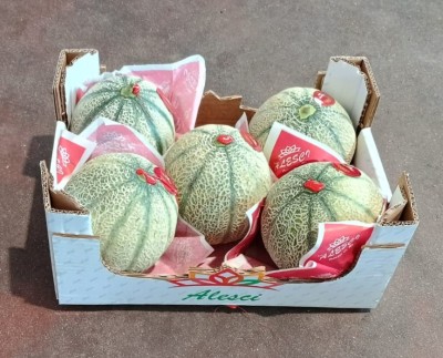 Foto Meloni Retati Calibro 5 Origine Italia Marchio Alesci            1