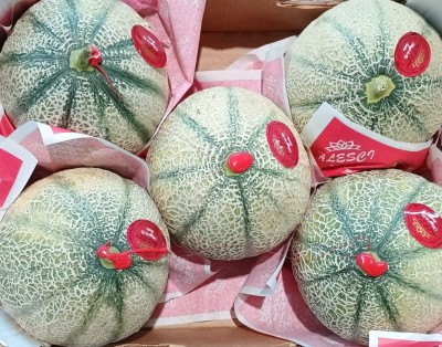 Foto Meloni Retati Calibro 5 Origine Italia Marchio Alesci            2