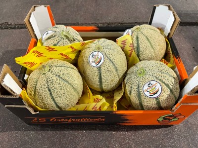 Foto Meloni Retati Calibro 5 Origine Italia Marchio Ls Ortofrutticola 1