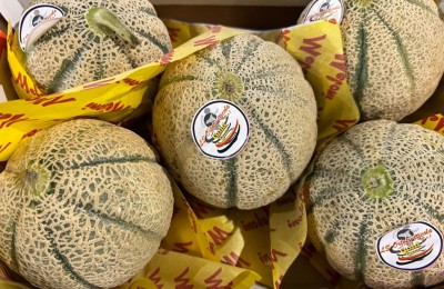 Foto Meloni Retati Calibro 5 Origine Italia Marchio Ls Ortofrutticola 2