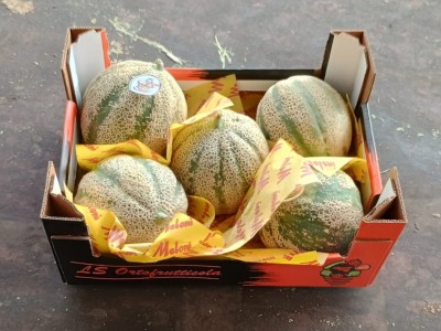 Foto Meloni Varietà Red Falcon Calibro 5 Origine Italia Marchio Ls Ortofrutticola 1