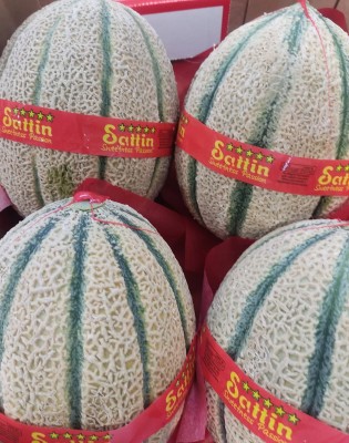 Foto Meloni Varietà Retati Calibro 4 Origine Italia Marchio Sattin   2