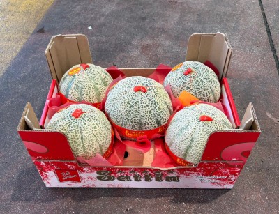 Foto Meloni Retati Calibro 5 Origine Italia Marchio Sattn 1