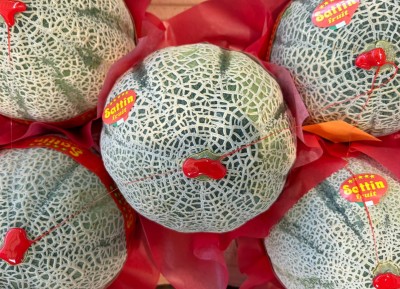 Foto Meloni Retati Calibro 5 Origine Italia Marchio Sattn 2