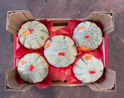 Foto Meloni Retati Calibro 5 Origine Italia Marchio Sattn 3