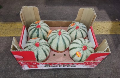 Foto Meloni Varietà Charantaise Calibro 5 Origine Marocco  Marchio Sattin 1