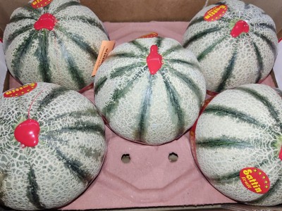 Foto Meloni Varietà Charantaise Calibro 5 Origine Marocco  Marchio Sattin 2