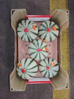 Foto Meloni Varietà Charantaise Calibro 5 Origine Marocco  Marchio Sattin 3