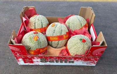 Foto Meloni Varietà Red Falcon Confezione in Cartone da 5 Frutti Origine Italia Marchio Sattin     1