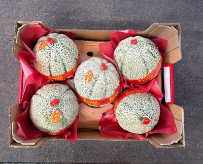 Foto Meloni Varietà Red Falcon Confezione in Cartone da 5 Frutti Origine Italia Marchio Sattin     3