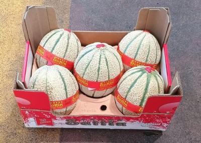 Foto Meloni Varietà Graffio Calibro 5 Origine Italia Marchio Sattin 1