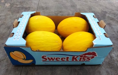 Foto Meloni Gialli Calibro 4 Origine Costarica Marchio Sweet Kiss   1