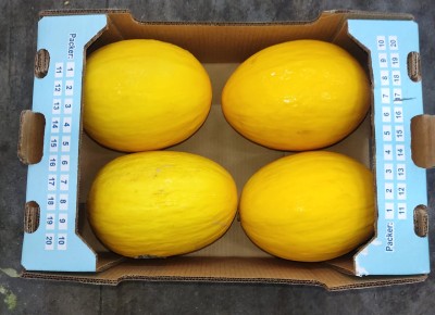 Foto Meloni Gialli Calibro 4 Origine Costarica Marchio Sweet Kiss   3