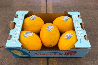 Foto Meloni Gialli Calibro 5 Origine Costarica Marchio Sweet Kiss       1