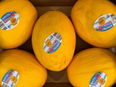 Foto Meloni Gialli Calibro 5 Origine Costarica Marchio Sweet Kiss       2