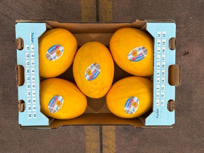 Foto Meloni Gialli Calibro 5 Origine Costarica Marchio Sweet Kiss       3