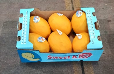 Foto Meloni Gialli Calibro 6 Origine Costa Rica Marchio Sweet Kiss  1