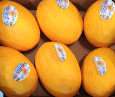 Foto Meloni Gialli Calibro 6 Origine Costa Rica Marchio Sweet Kiss  2