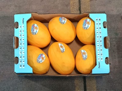 Foto Meloni Gialli Calibro 6 Origine Costa Rica Marchio Sweet Kiss  3