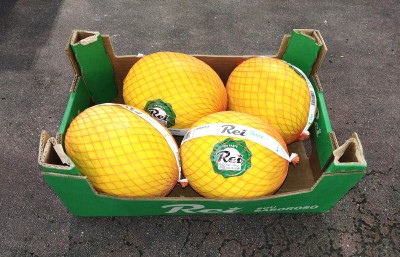 Foto Meloni Gialli Calibro 4 Origine Brasile Marchio Rei 1