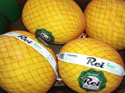 Foto Meloni Gialli Calibro 4 Origine Brasile Marchio Rei 2