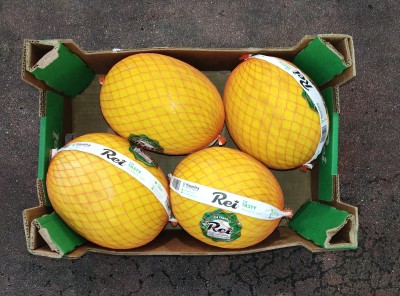 Foto Meloni Gialli Calibro 4 Origine Brasile Marchio Rei 3