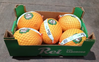 Foto Meloni Gialli Calibro 5 Origine Brasile Marchio Rei 1